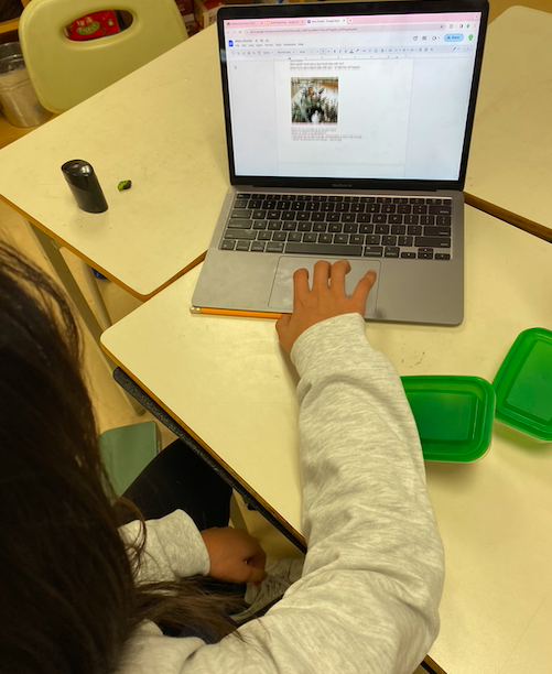 BPSHawks6 tweet media