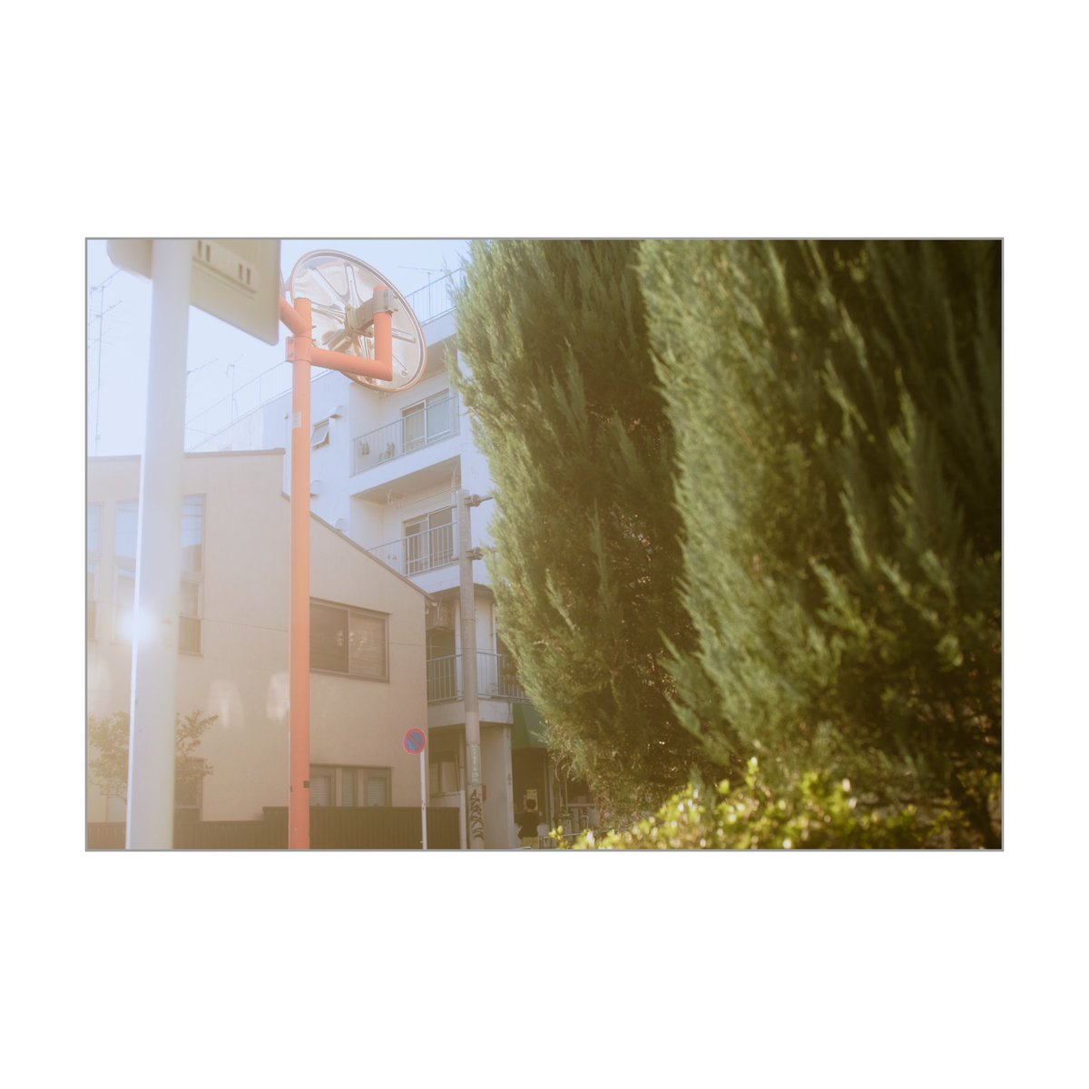 ToshihiroAchi's tweet photo. 写真を撮ることが日記になってる。
#PhotoOfTheDay #coregraphy #onedaystory #キリトリセカイ https://t.co/PG0MbXEjuK