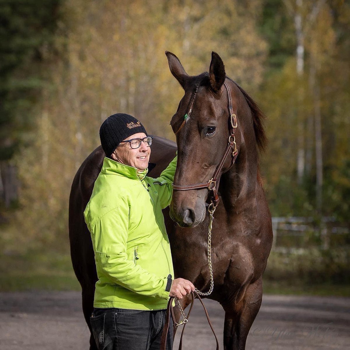 StallTinter tweet picture