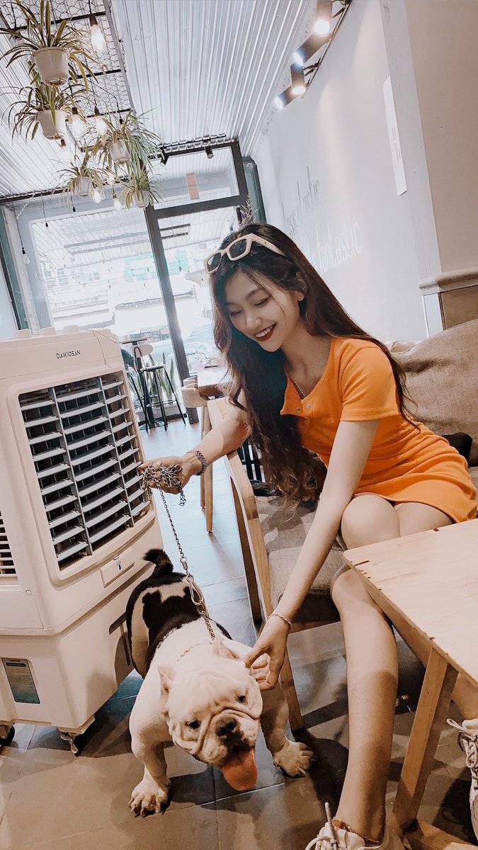 Dương Huyền Trang tweet media