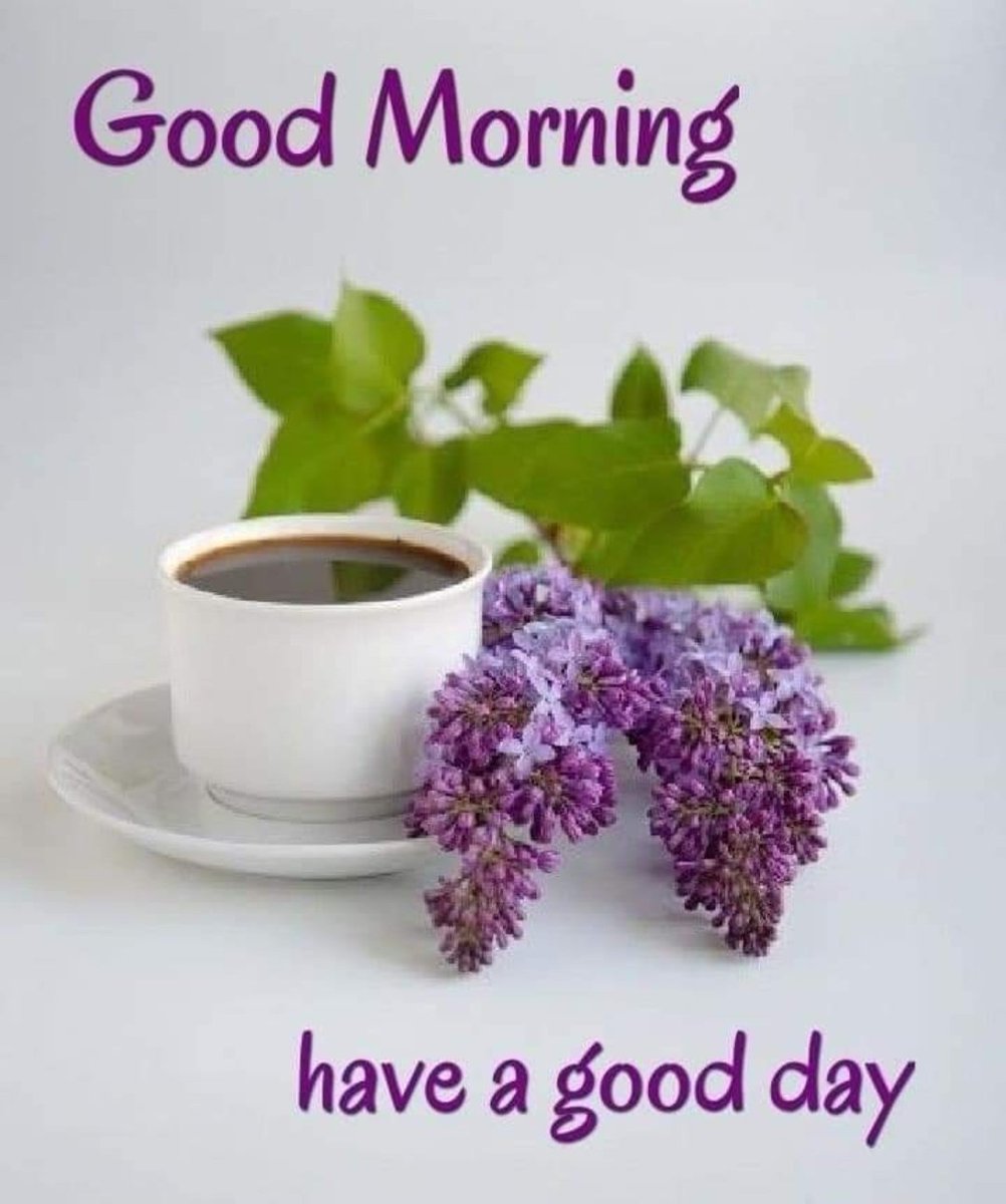 Shabnam38209239's tweet photo. सुप्रभात दोस्तो ☕️🙏💐
🌸दुनिया का  सबसे  फायदेमंद सौदा बुजुर्गों के  पास बैठना है ,चंद लम्हों के बदले में वो हमें  बरसों का  तजुर्बा देते  हैं ..!!🌿🌿
‼️#जय_श्रीराम 🙏🚩
‼️#जय_हनुमान 🙏🚩
‼️#जय_श्री_राधे_कृष्णा 🙏🚩
‼️#जय_लक्ष्मी_माता_जी 
‼️#राधे_राधे 🌹🚩💐
‼️#शुभ_शुक्रवार 🌸 https://t.co/0c5qCsQBWP