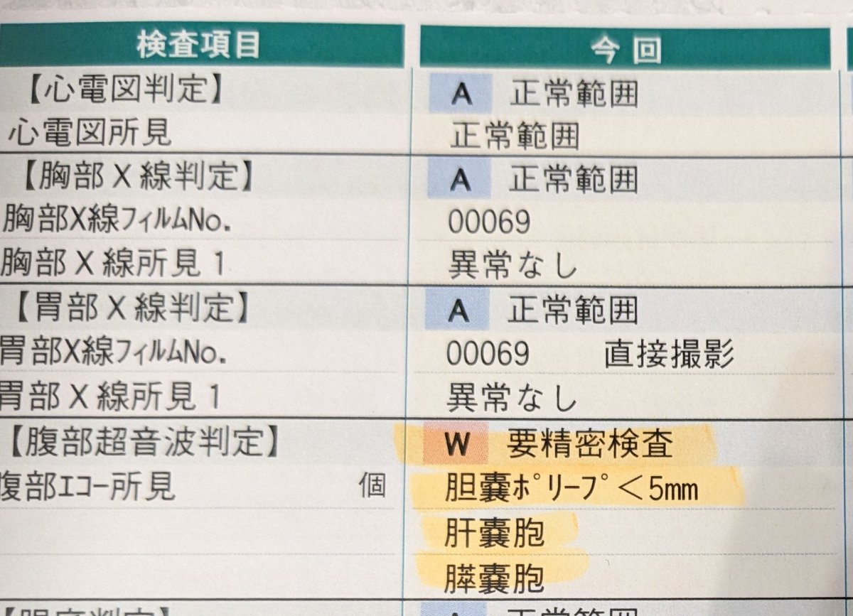 紹介状にすい臓消化器内科宛が書かれてたから、勝手にわたしはすい臓が悪いのだと思ったけど、、
これは胆肝膵のトリプルパンチ？？

子どもの為にも長生きしたい😵
痛みがおさまらないので早く受診したいです🥲