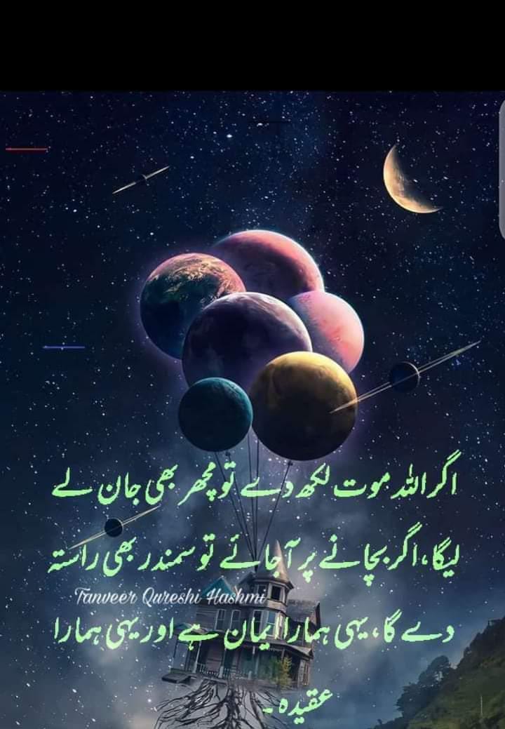 CA Rauf tweet media