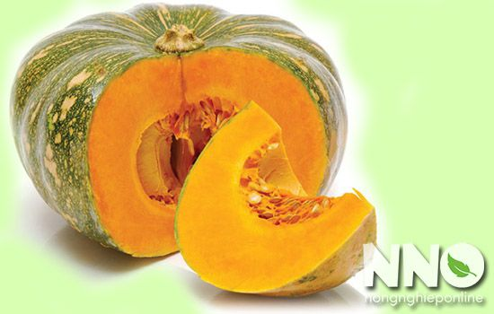 BenWork99's tweet image. Bí đỏ tròn
Bí đỏ tròn đúng như cái tên của nó, loại bí đỏ này có hình dạng quả tròn, có thể tròn như hình cầu hoặc tròn dẹt tùy theo giống. Loại tròn dẹt thường vỏ ngoài hình thành các khía (múi) tự nhiên, vỏ cứng.