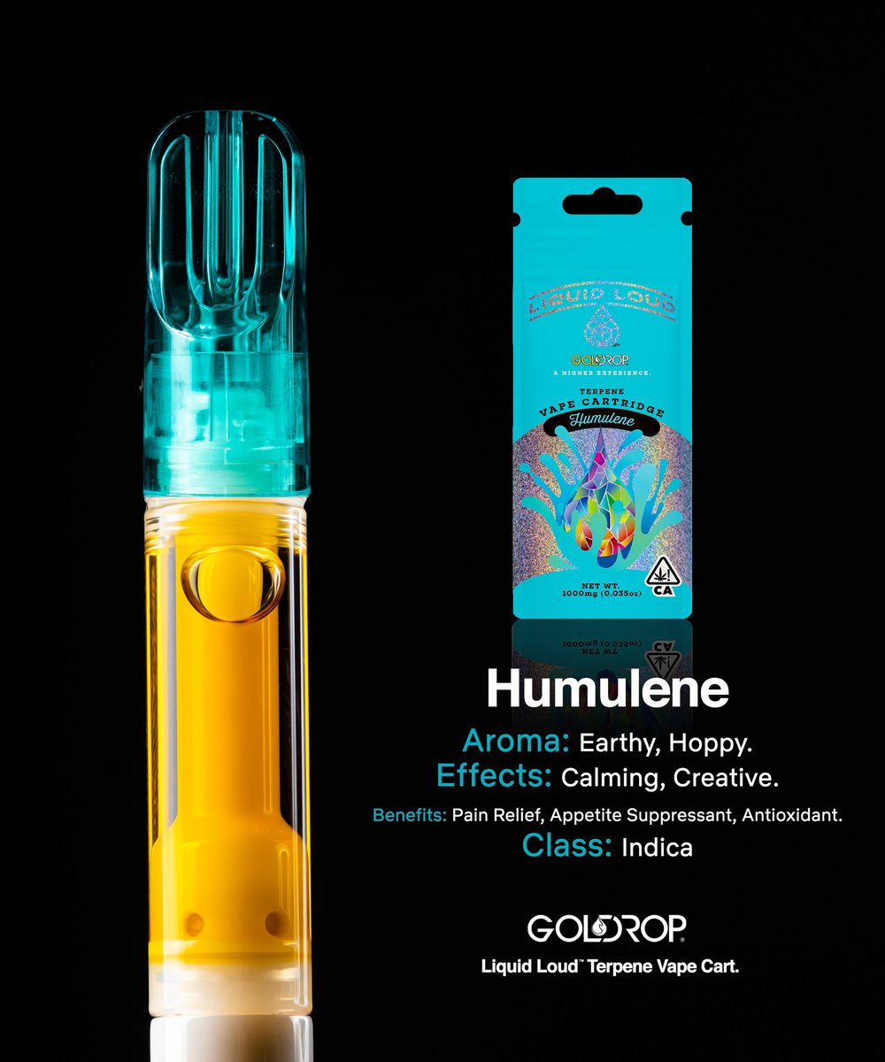 golddropca's tweet photo. LIVE LIFE LOUDER 🏆💨
#Humulene - #LiquidLoud 
Aroma: Earthy, Hoppy
Effects: Calming, Creative
Benefits: Pain Relief, Appetite Suppressant, Antioxidant.
Class: Indica

#GoldDropCo ‼️🔥💨 https://t.co/lYTgxsXQ9p