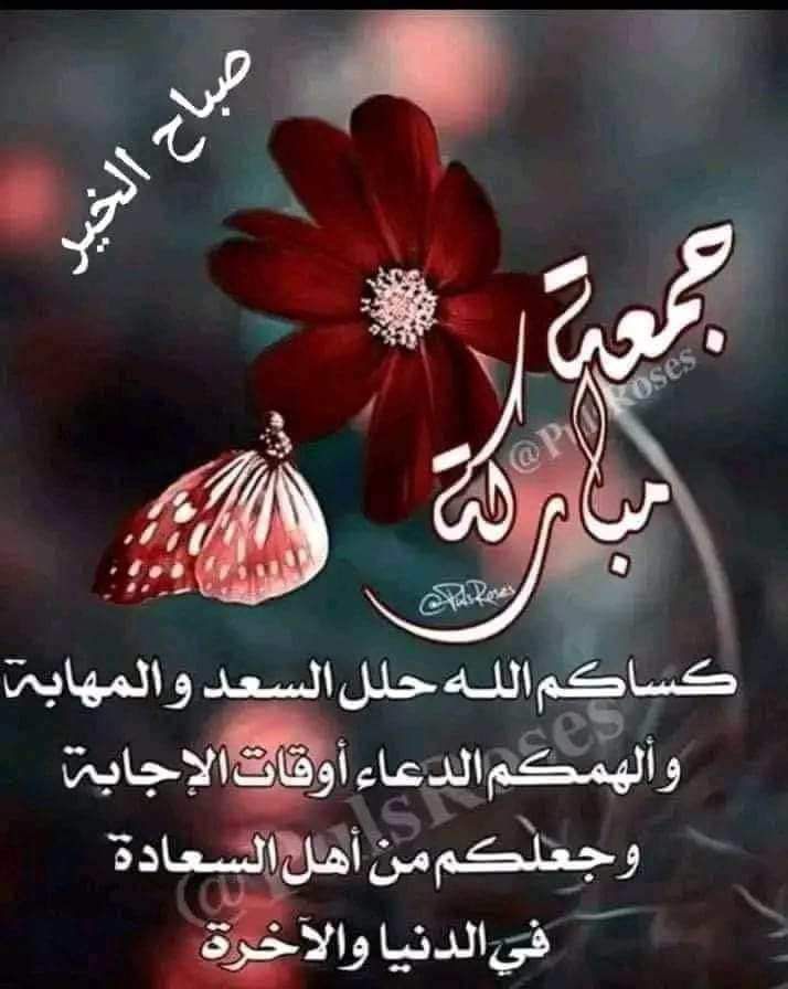 الحمد لله على تمام النعمة بالاسلام وبرحمته التي وسعت كل شيء.