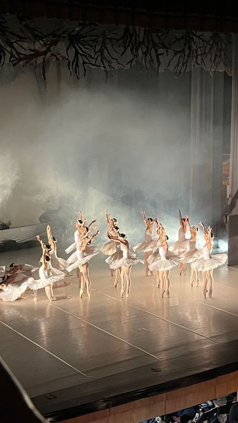 etherealdior's tweet photo. nutcracker night 🩰 https://t.co/WXZJRgwT7a