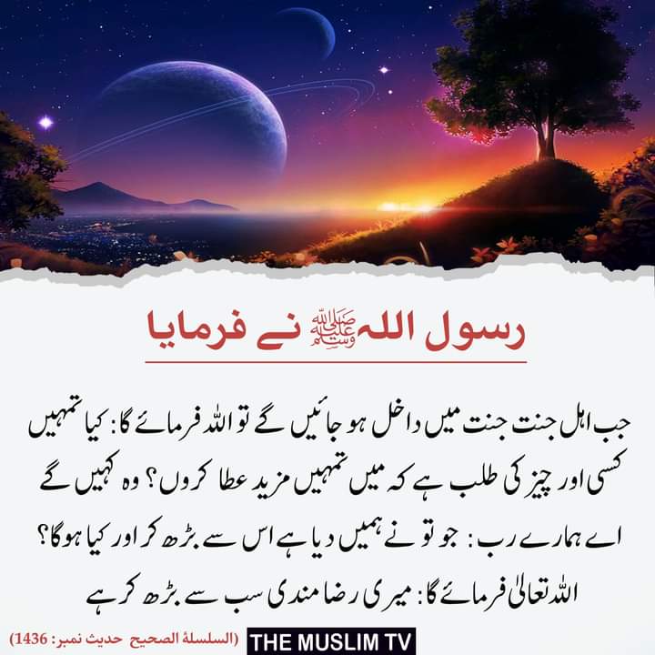 Zabeeh A💗Z🏁 (@zabeehullahqur2) on Twitter photo 