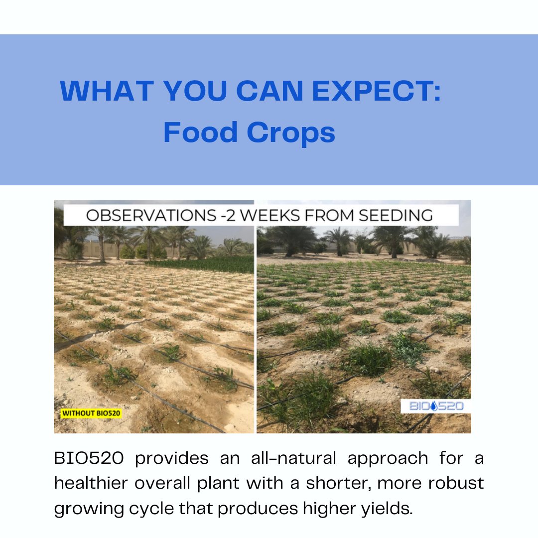 Elevate your harvest with BIO520! 🌱✨ Experience shorter, robust growing cycles and higher yields in a greener, more sustainable tomorrow. Explore our journey at B10520: bio520usa.com 💙✅ #BI0520 #SustainableFarming #GreenHarvest