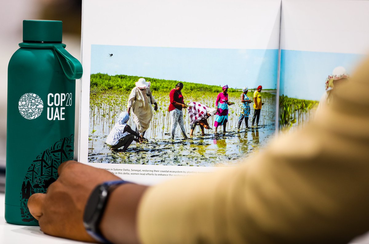 JamesKahongeh_'s tweet photo. I'M OVERLY EXCITED that 2 years since joining the climate space, I've, together with colleagues, developed &amp; published Africa's first story book on #ClimateAdaptation. This beauty is a collection of African #climate stories of Hope &amp; #Resilience. Launching at #COP28UAE. https://t.co/EMezJIe8Fx