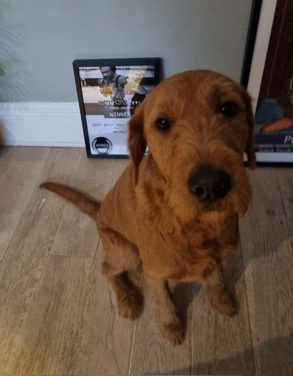 BLOCKCHAIN RECLAIM 🏆🏅 tweet media