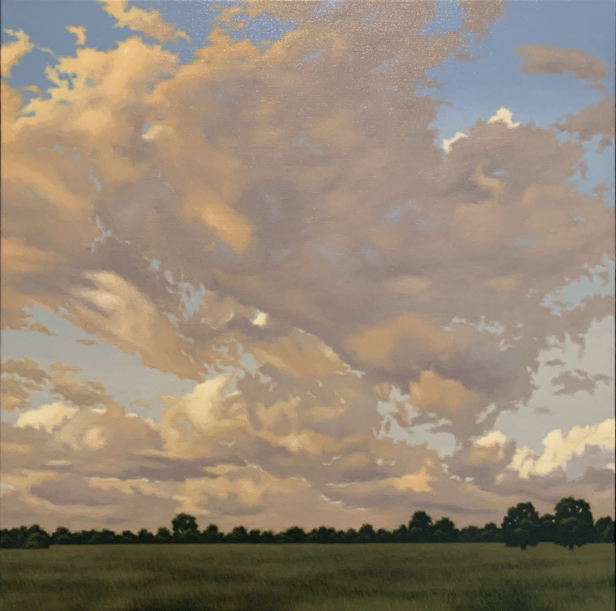 Bellarine 3 (oil on linen)
46cm x 46cm / 18”x 18”
SOLD
Instagram: @simeonwalkerart
Facebook: @simeonwalkerart

#oiloncanvas #originalart #oilpainting #artforsale #artcollector #landscape #traditionalart #australianart #pleinair #painting #realism #artist #sunset #clouds #sunrise