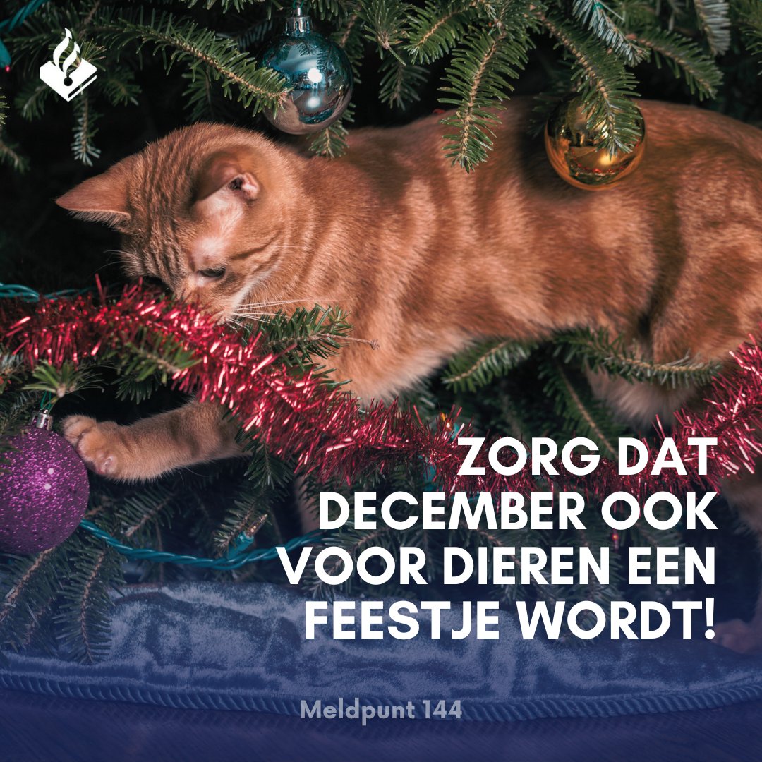 Meldpunt 144 tweet media