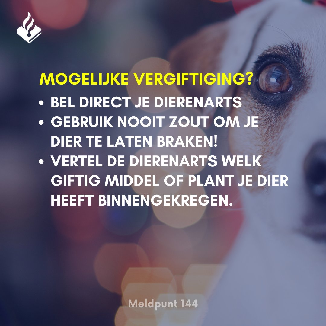 Meldpunt 144 tweet media