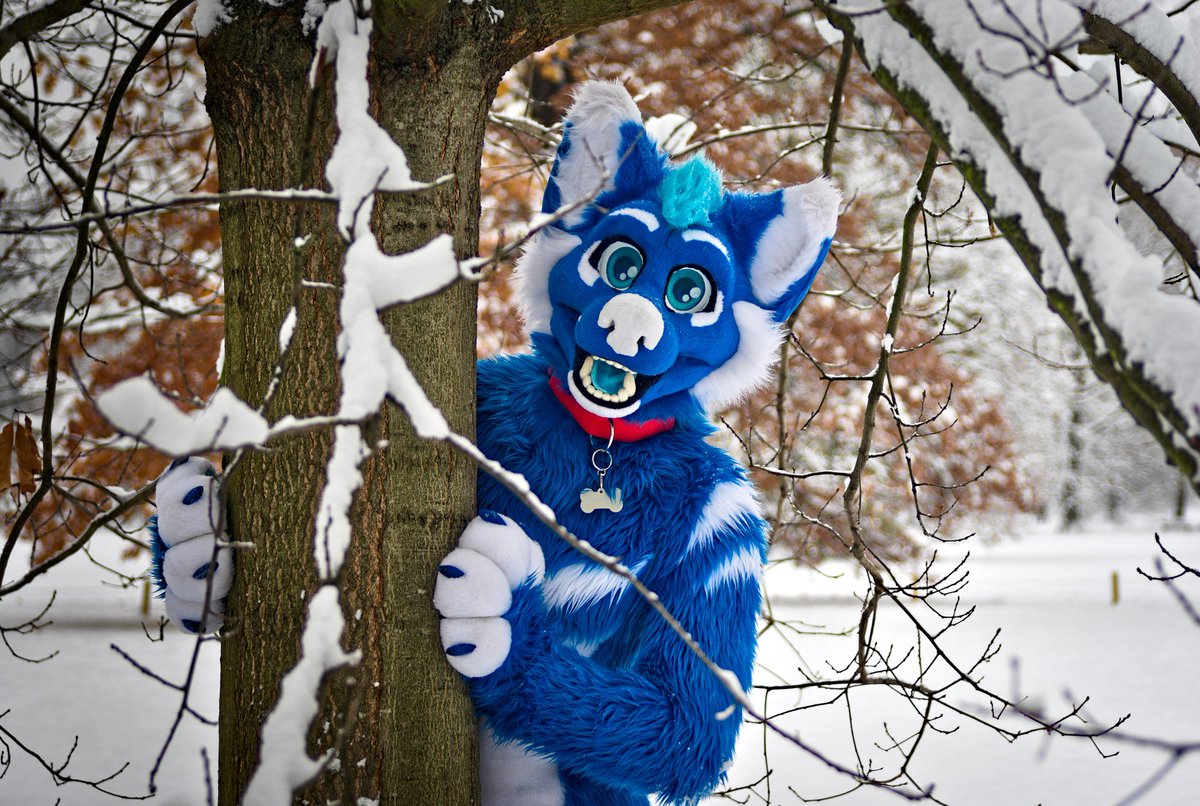 Hoosk in his natural habitat, snow! ❄️🌨️ #FursuitFriday 

📸: <a href="/Feiro602/">Feiro</a>