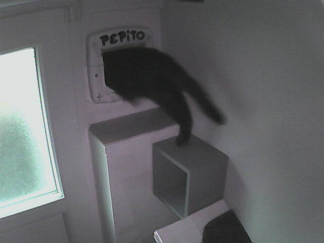 PepitoTheCat's tweet image. Pépito is out (08:56:40)