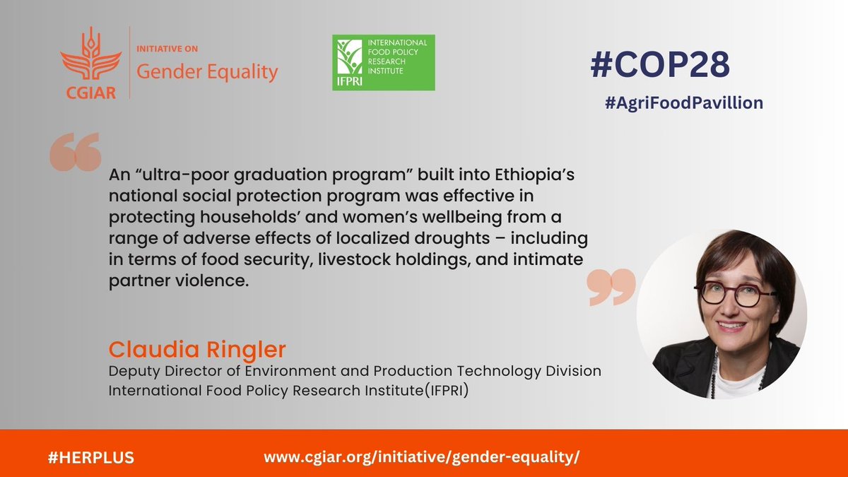 'A new HER+ case study demonstrates an “ultra-poor graduation program” built into Ethiopia’s national social protection program was effective in protecting households’ & women’s wellbeing from the effects of localized droughts'- @ClaudiaRingler #COP28 👉bitly.ws/34U3w