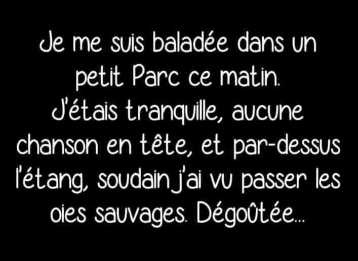 The Joconde 🐦 (@viedelajoconde) on Twitter photo 