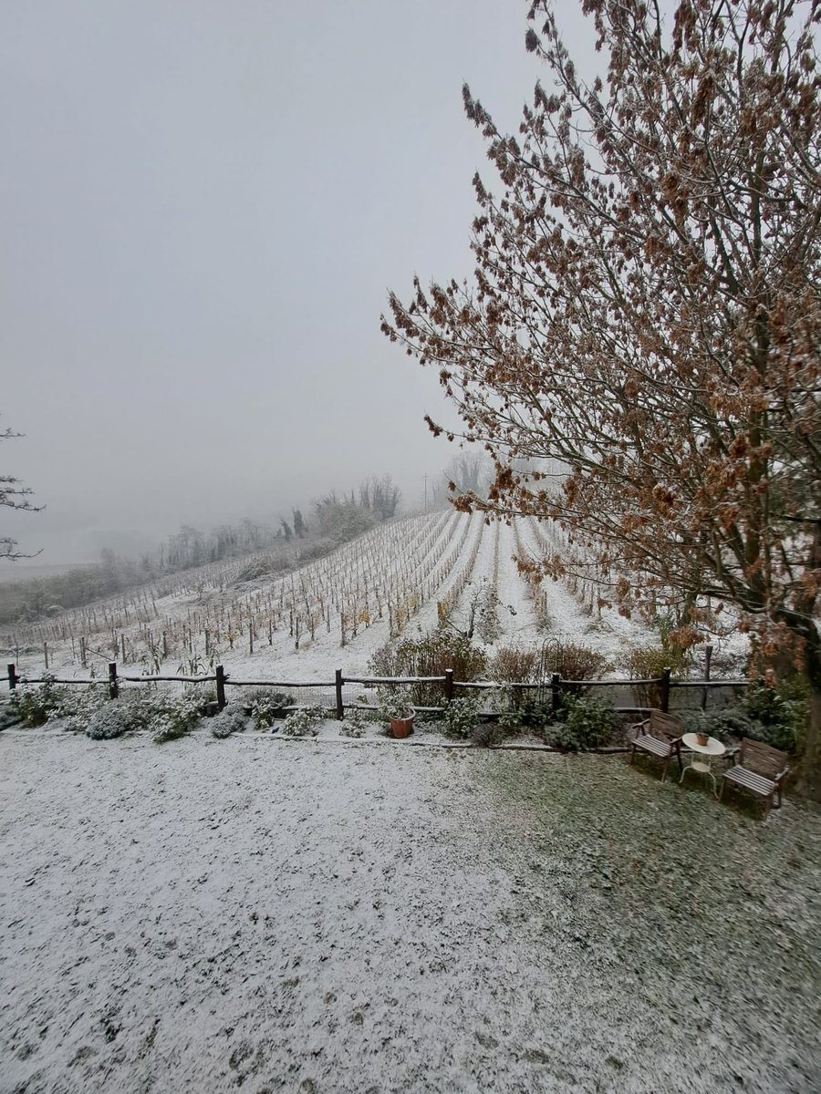 PCProvAL's tweet photo. 8 Dicembre 2023
Primi fiocchi di #neve anche a #Ricaldone
Foto: #RdV Marco Grenna https://t.co/59CWmFRAKO