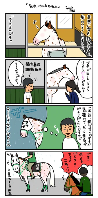 結構、ピンクだったブチコさん。 