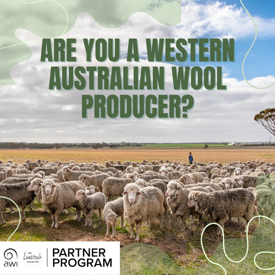 The Livestock Collective tweet media
