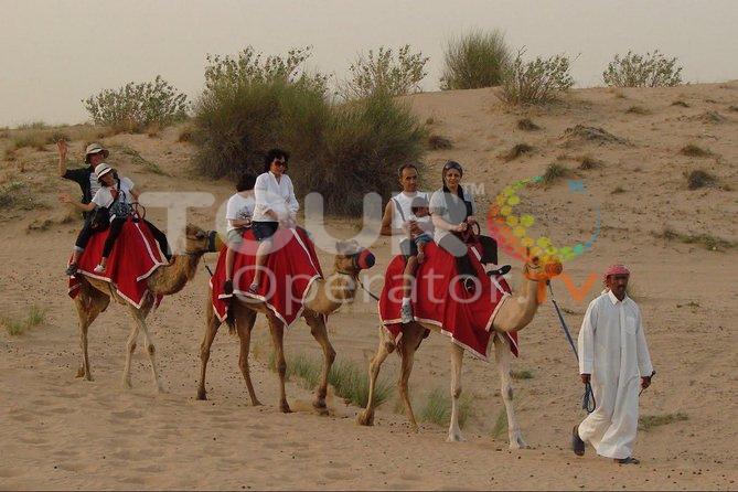 Morning Dubai Desert Dune Bashing and Camel Ride in Dubai 🛎 s.cl4.us/2h9 #camelrides #Dubai #natureandwildlifetours #tour #touractivities #tourexperience #touroperator #touroperatortv #United_Arab_Emirates
