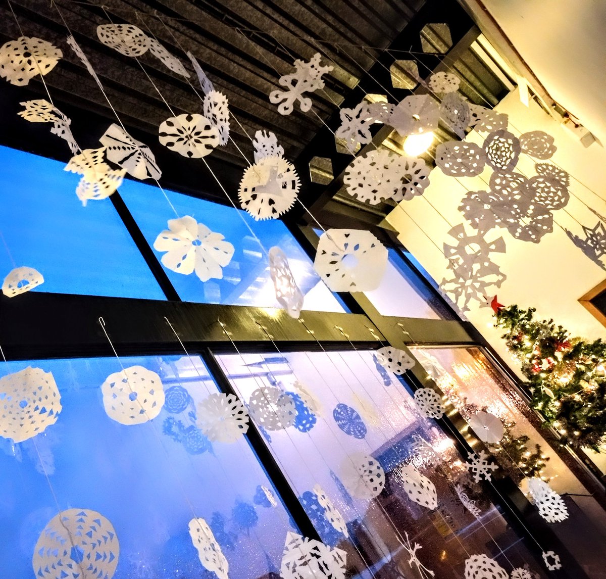 CHS_DandT's tweet photo. It's beginning to look a lot like Christmas...in the Craigie Design and Technology department! 🤍❄️🤍❄️🤍❄️🤍❄️
@Craigie_High https://t.co/pj2MP7QpRb
