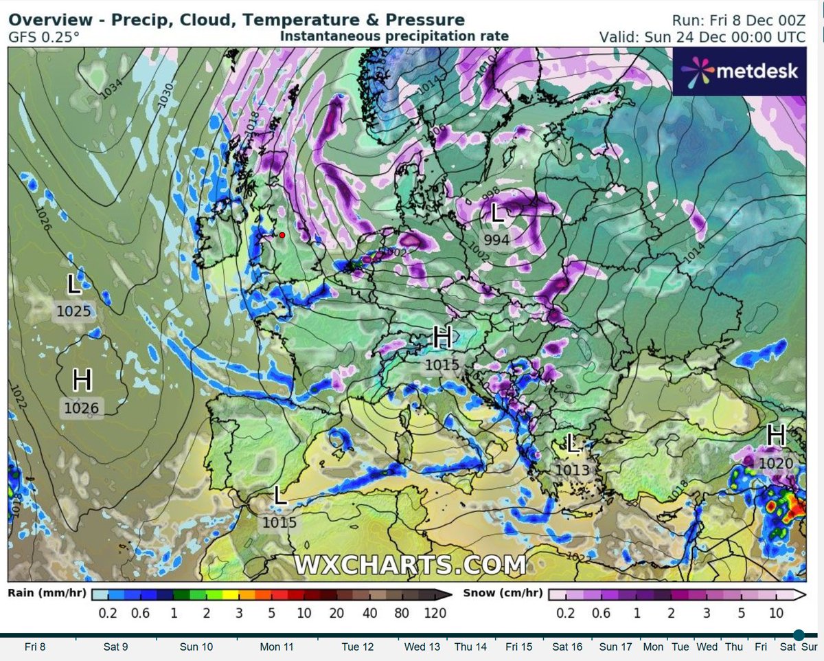 Steve Palmer tweet media