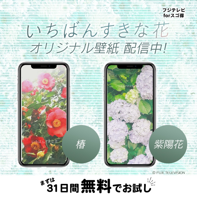 いちばんすきな花 -ディレクターズカット版- Blu-ray BOX [Blu-ray