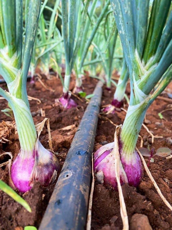 The Farmercist tweet media