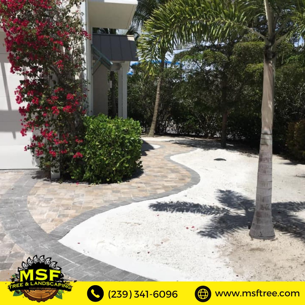 msftree tweet picture