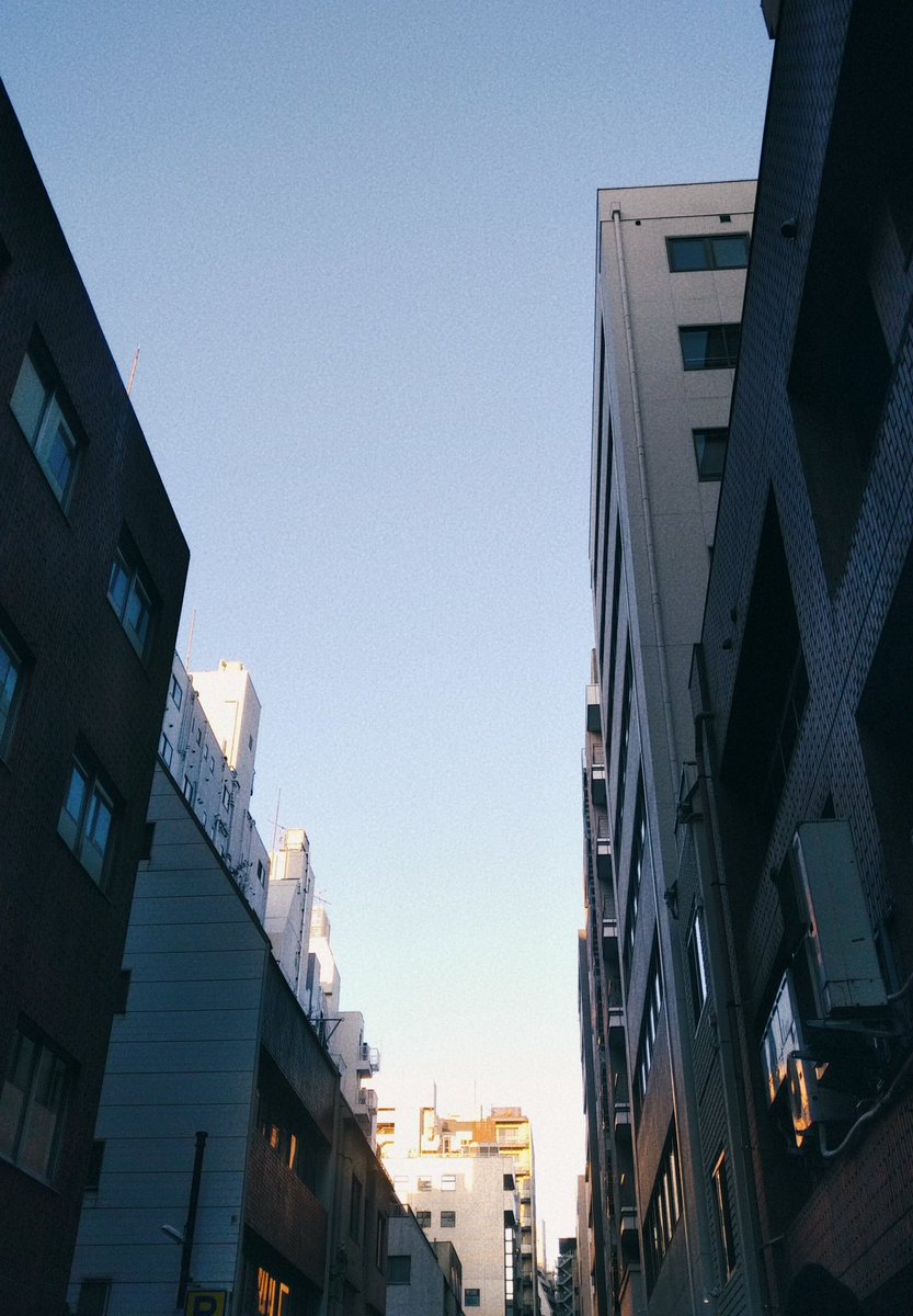 musicalruntoyou's tweet photo. 早朝のビジュアル撮影、
データをいただき精査中

素敵な写真ばかりで
早く皆様にお届けしたいです。

ご期待ください

 #musical 
 #runtoyou https://t.co/ggcnsVazxS