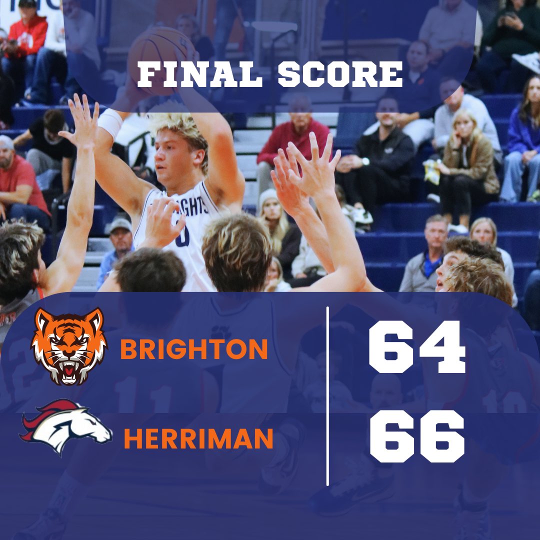 Brighton Basketball tweet media