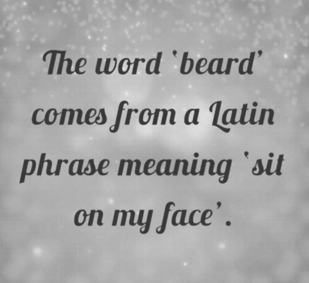 Mildred just a hoe with a beard (@Russ_Gillette) on Twitter photo 2023-12-08 04:21:12