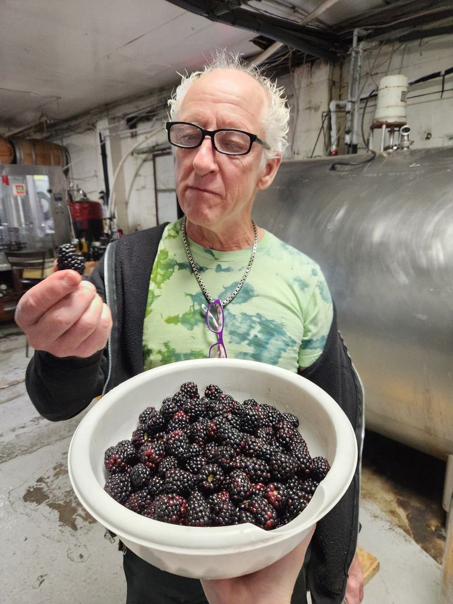 Finding the most perfect blackberries for our upcoming concoction! The latest Freshly Squeezed super duper micro batch will be hitting our taps this Saturday. 🔎