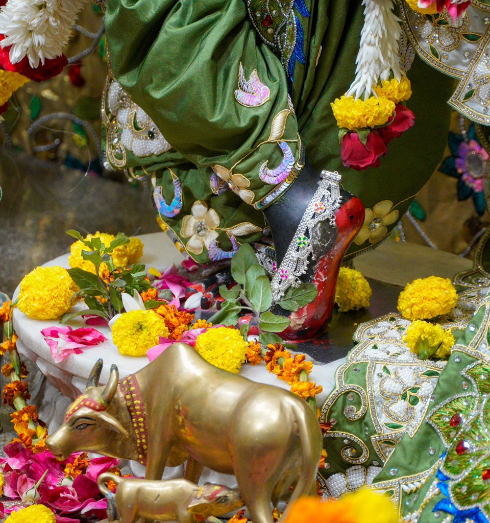 iskconvicc's tweet image. Śrī Śrī Radha Gopal Darshan - 8/12/2023 @iskconvaranasi 
.
.
#iskconindia #iskconvicc #iskcon #green #radheradhe #friday #fridaydarshan #radhagopal #radhamadhav #gauranitai #morningdarshan #radhashyamsunder #temple #dailyinsta #instapost #sobeautiful