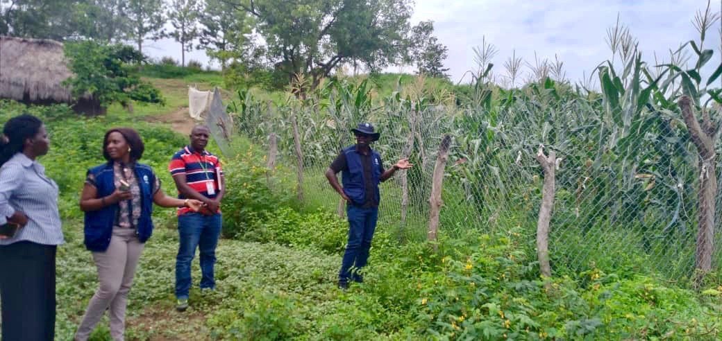 OkebaUganda's tweet photo. Our monitoring visits for the #SMILESProject in Kyaka II settlement are ongoing, ensuring that our sustainable agricultural initiatives for refugees & hosts stay on track. Real-time progress checks drive impactful change! #SustainableAgriculture @FondazioneAVSI @DAIGlobal https://t.co/a5qI37zg4t
