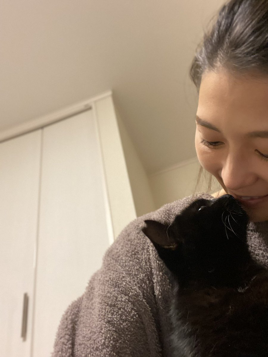 miramira0605's tweet photo. もしも。もしもみらちゃんを
保護してくださっている方がいたら
今みらちゃんが幸せに暮らしていることを
確かめたいと、心から願っています。
私も、みらちゃんを愛する一人です。
もちろん、個人情報は必ずお守りします。
どうか、どうか、ご連絡をいただけないですか…

#黒猫探してます https://t.co/w3fqt9RgAY