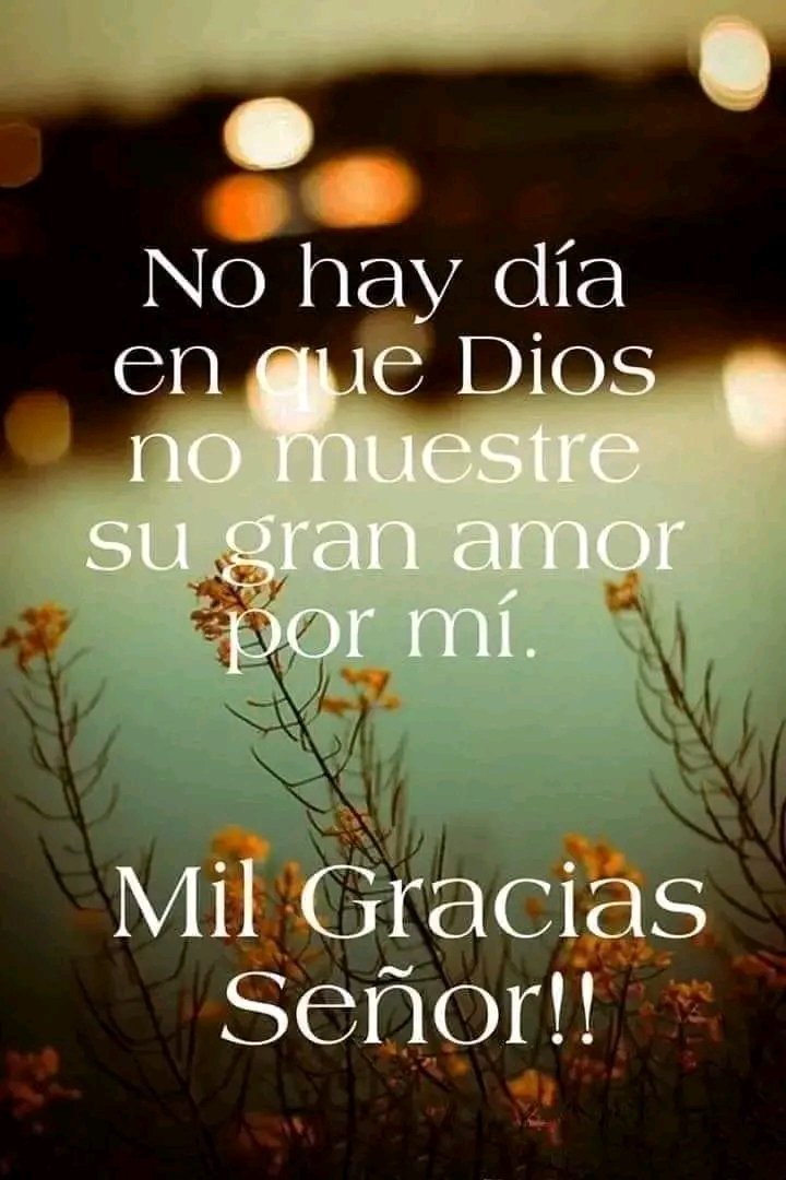 armandocolonmat's tweet photo. https://t.co/EZeLhqQs9i