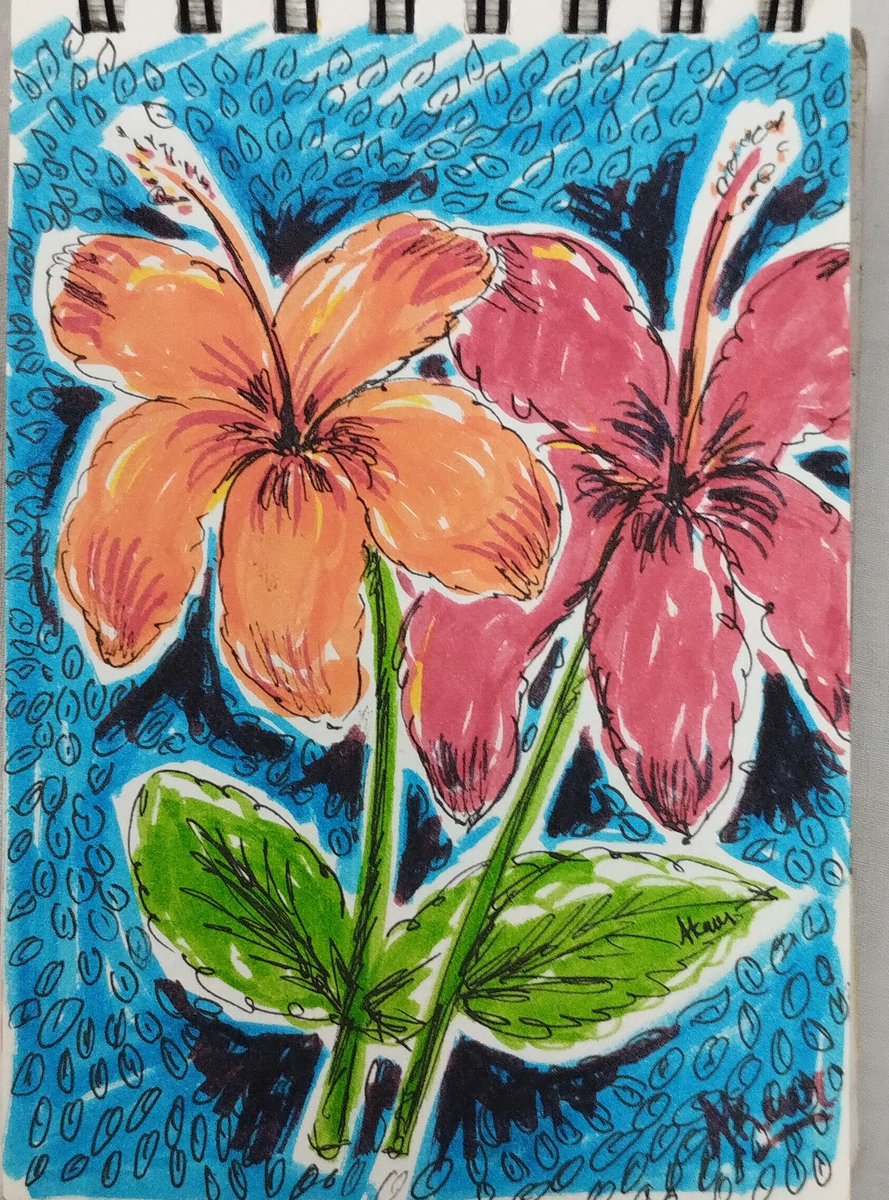 aman_peace2387's tweet photo. 'colour won't differentiate as two belong to the same clan' #drawing #watercoloureffect #brushtip #painting #artists #colour #Flowers #hibiscus #red #orange #beautiful #nature #artistsontwitter https://t.co/HrepzNXDF6