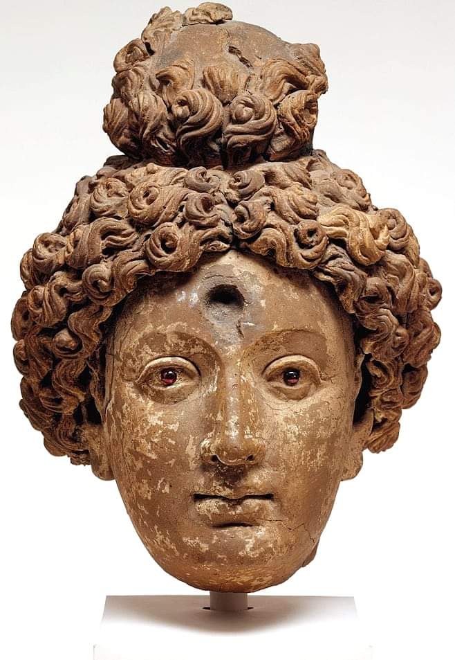 Terracotta Head of a Buddha or Bodhisattva (5th-6th Century AD); belonged to Gandhara School of Art, from Hadda, Tapa Shotor, Afganistan.

MET Museum

#archaeohistories