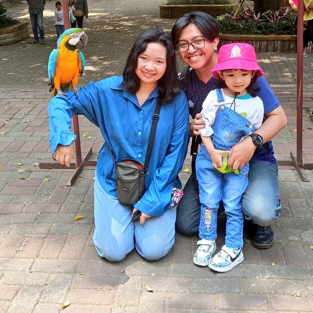 こんにちは〜
久しぶりにツイートしたから、家族と前に動物園に行った写真をアップしたんだ。