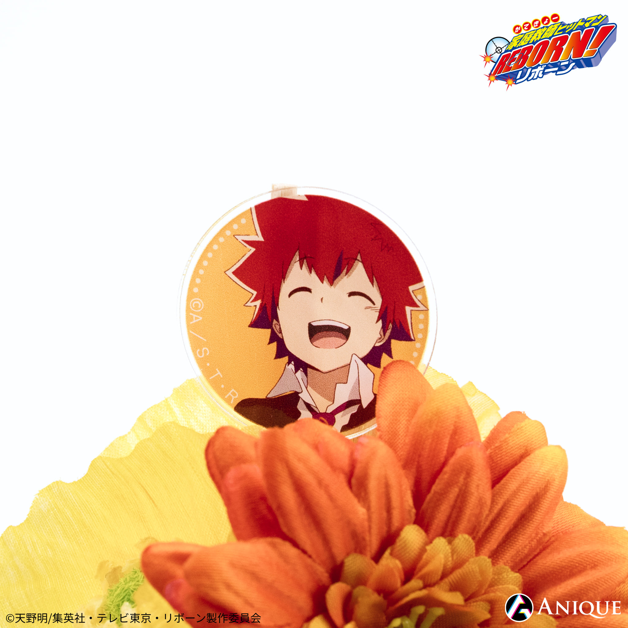 未開封家庭教師ヒットマンREBORN! 雲雀恭弥 フラワーディフューザー