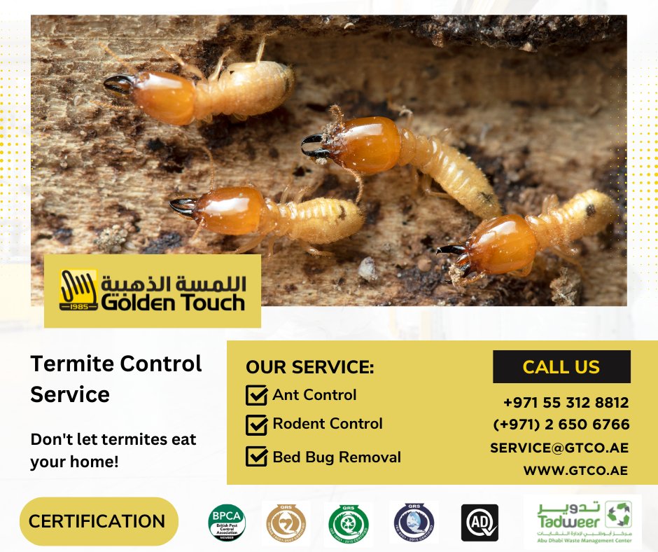 gtcoUAE's tweet photo. Termites chomping your home?  Don't stress! We eliminate termites fast &amp; safely. Get a free quote today

Contact us 24/7
(+971) 2 650 6766
+971 55 312 8812
service@gtco.ae
https://t.co/JdGYKJn8hQ

#TermiteControl #PestPrevention #HomeSafety #BugFreeZone #ProtectYourHome #Termite https://t.co/8bmOQJtrQk