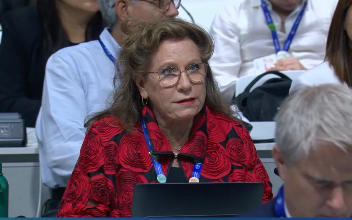 “Our commitments must aim for a phase out of #FossilFuels led by developed countries, we firmly oppose any language in the #GST which serves as a loophole for the tacit endorsement for the continued exploration by the #FossilFuels industry.”Guatemala 🇬🇹,@AilacCC, plenary, #COP28.