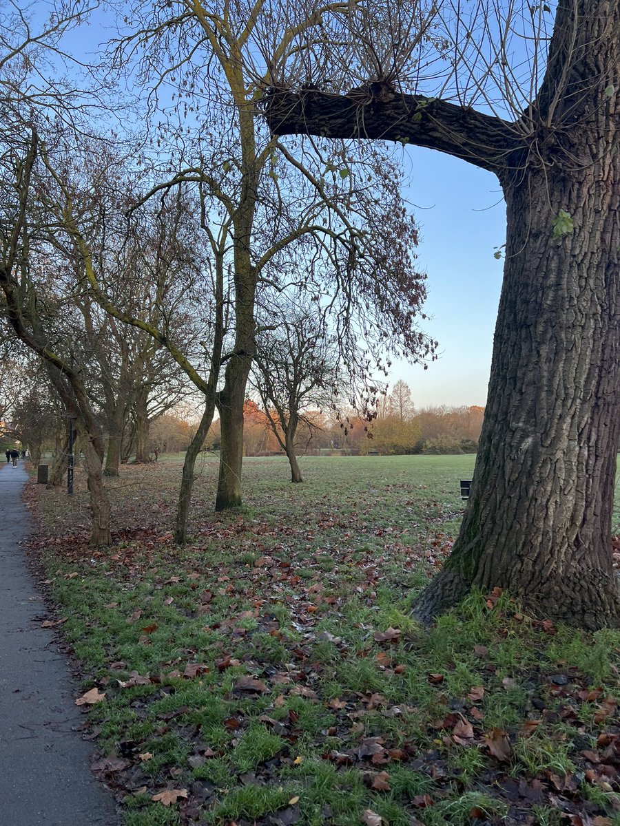 Walking through Wandsworth Common is a great way to start the day. And not too chilly for once.