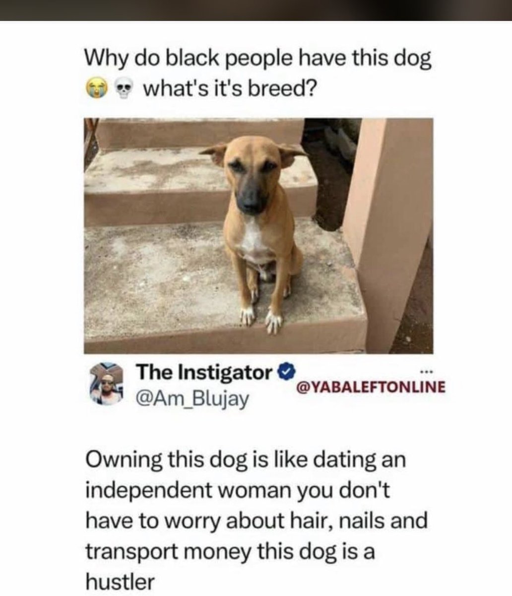 dodevaan's tweet image. Why is everyone talking about Relationship..
Since I login to this app yesterday..
   Are you guys not hungry 😋 🙄
Let’s talk about FOOD😁😎