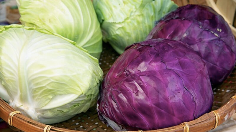 BenWork99's tweet image. Bắp cải (cải bắp)
Đây là loại rau cải có dạng hình tròn và cuốn là hình cầu có 2 loại màu trắng và loại màu tím. Phần lá của bắp cải được xếp thành từng lớp dày làm bắp rất chắc, khó bóc, cầm nặng tay. Bạn có thể dùng để luộc, nấu canh, xào, ...