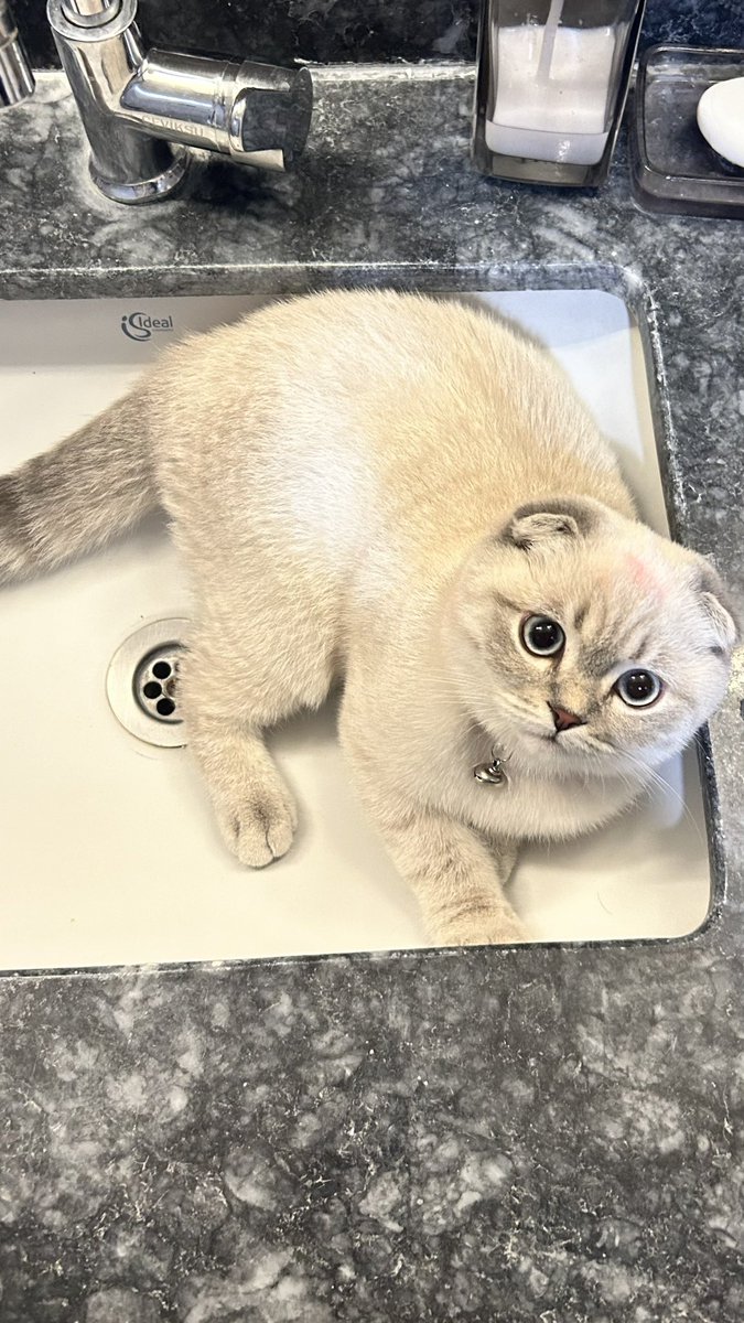 İşte aşk / işte meyvesi