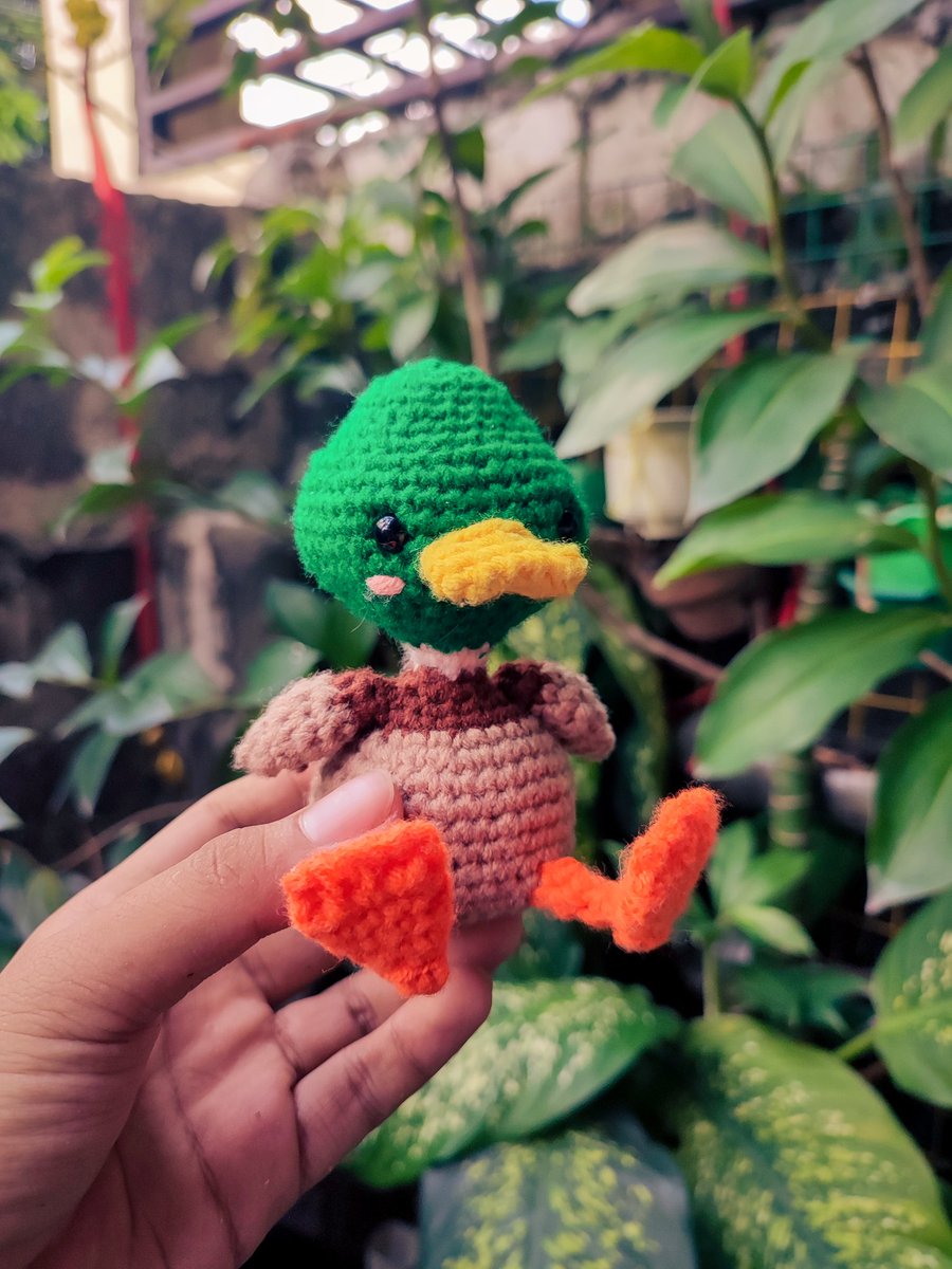 new crochet companion dinky the duck